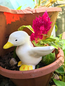 Duck ornament figure