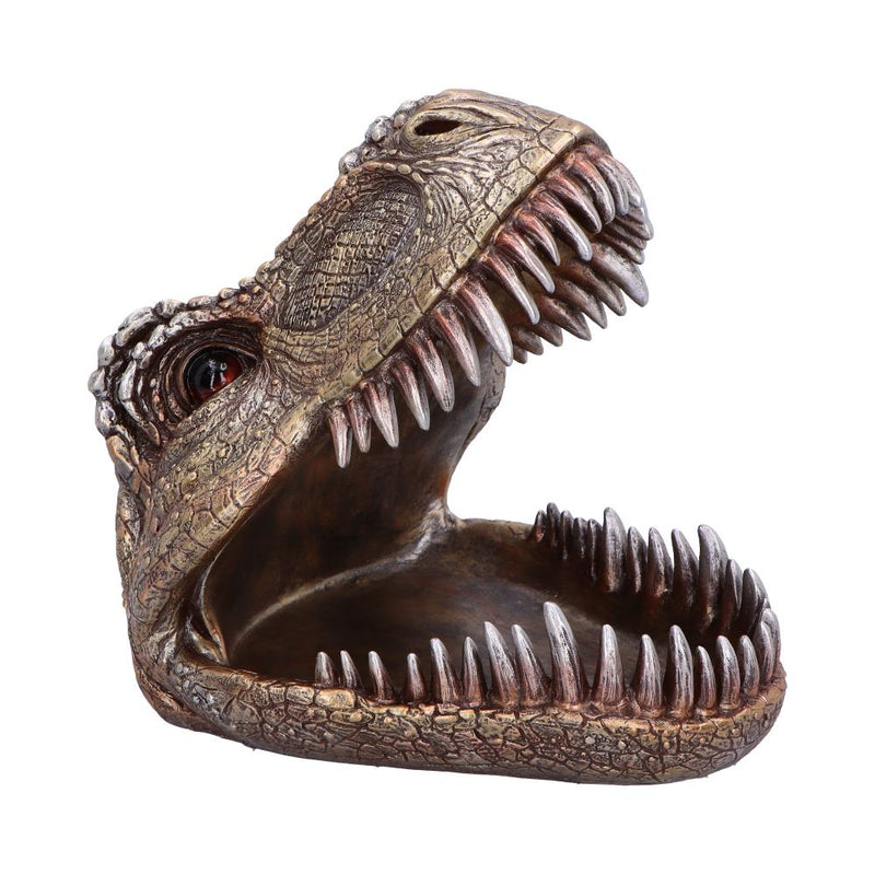 Tyrannosaurus Rex Dish 24cm