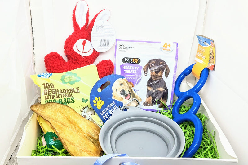 Dog puppy bundle gift box