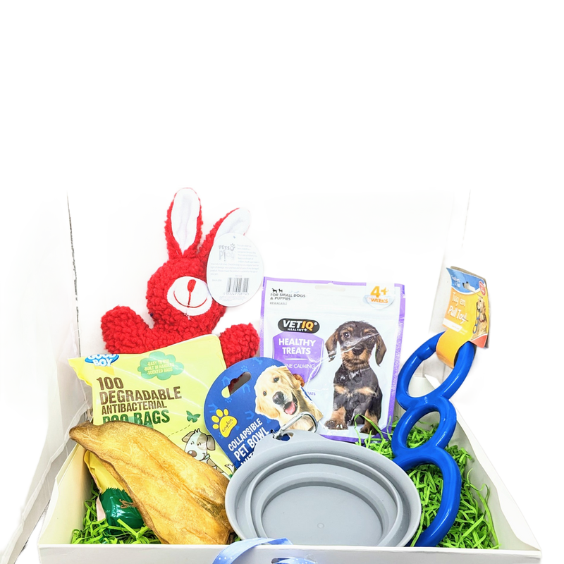 Dog puppy bundle gift box