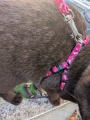 Pink/purple /red small dog adjustable harness with lead. Can be used for kittens rabbits
