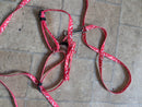 Pink/purple /red small dog adjustable harness with lead. Can be used for kittens rabbits