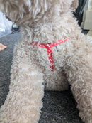 Pink/purple /red small dog adjustable harness with lead. Can be used for kittens rabbits