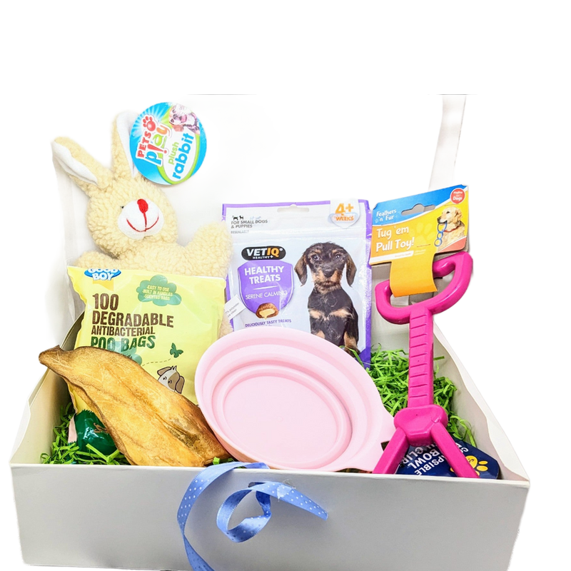 Dog puppy bundle gift box