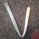 puppy collars