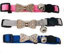 Diamante Bow cat collar with safety release. Pet collar-1