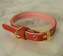 Izzy collars Puppy and Dog-4