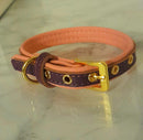 Izzy collars Puppy and Dog-3