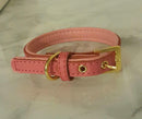 Izzy collars Puppy and Dog-2