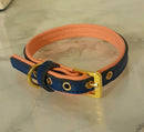 Izzy collars Puppy and Dog-1