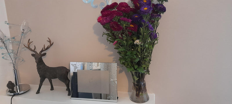 Butterfly mirrored free standing photo frame-0