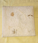 Photo albums Gifts-11