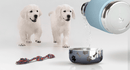 Dog Bowl Bottle - Bundled Gifts