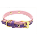 Izzy collars Puppy and Dog-0