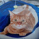 Blue Cat/ Kitten tunnel with play ball-0